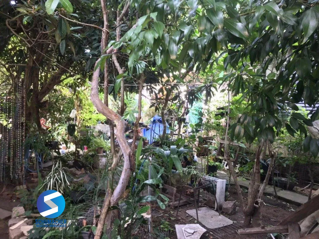 Terreno à venda em Tristeza, Porto Alegre — foto 5