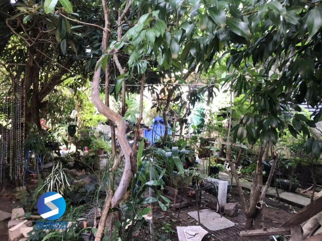 Terreno à venda em Tristeza, Porto Alegre — foto 6