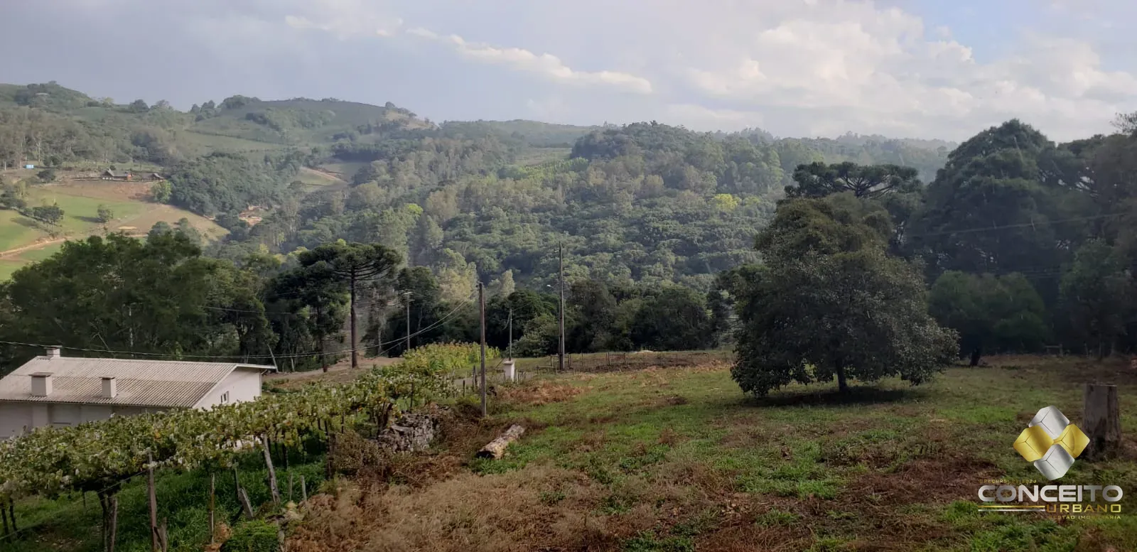 Área de terras para atividade comercial