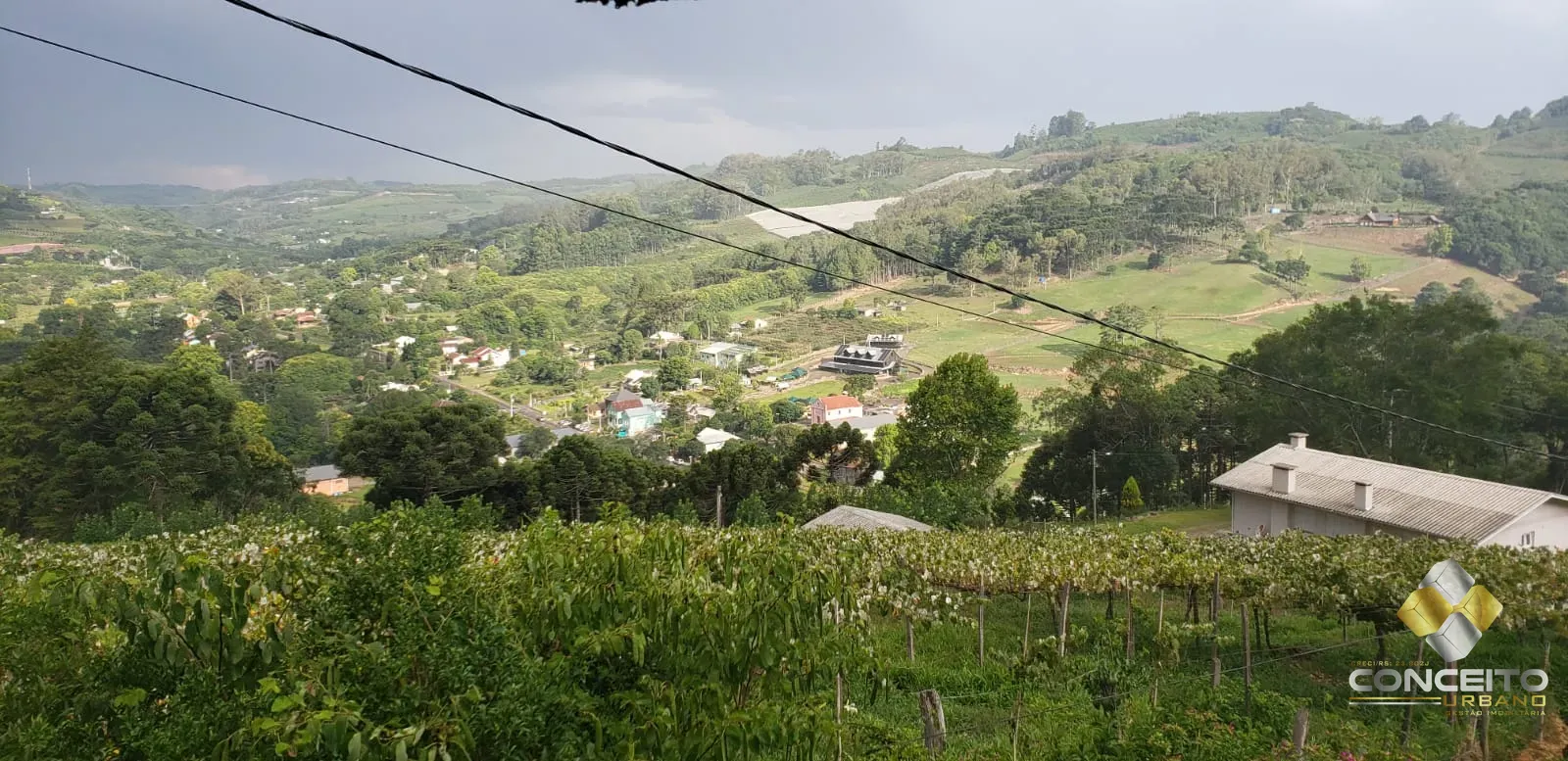 Área de terras para atividade comercial