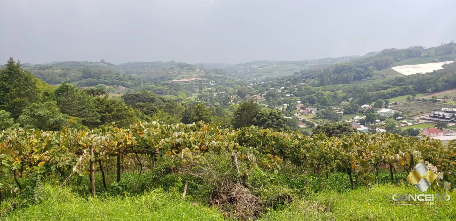 Área de terras para atividade comercial