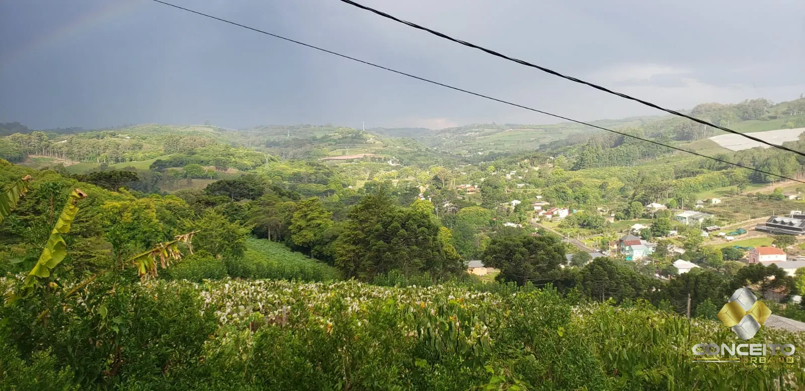 Área de terras para atividade comercial