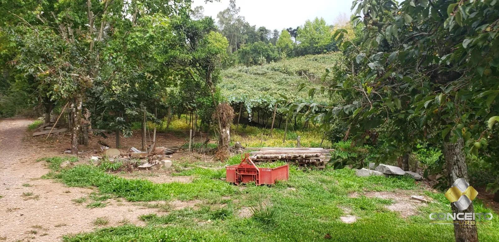 Área de terras para atividade comercial