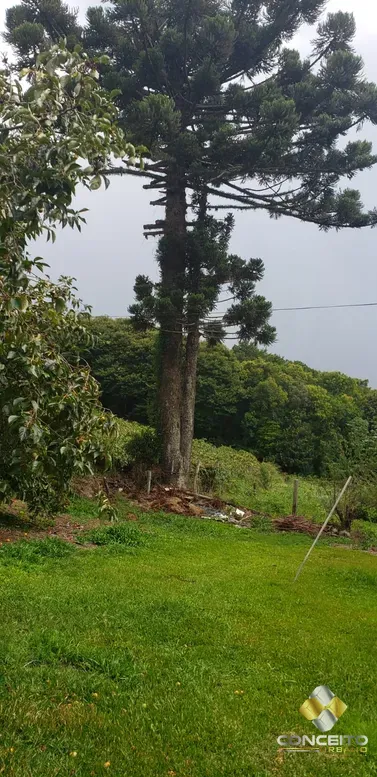 Área de terras para atividade comercial