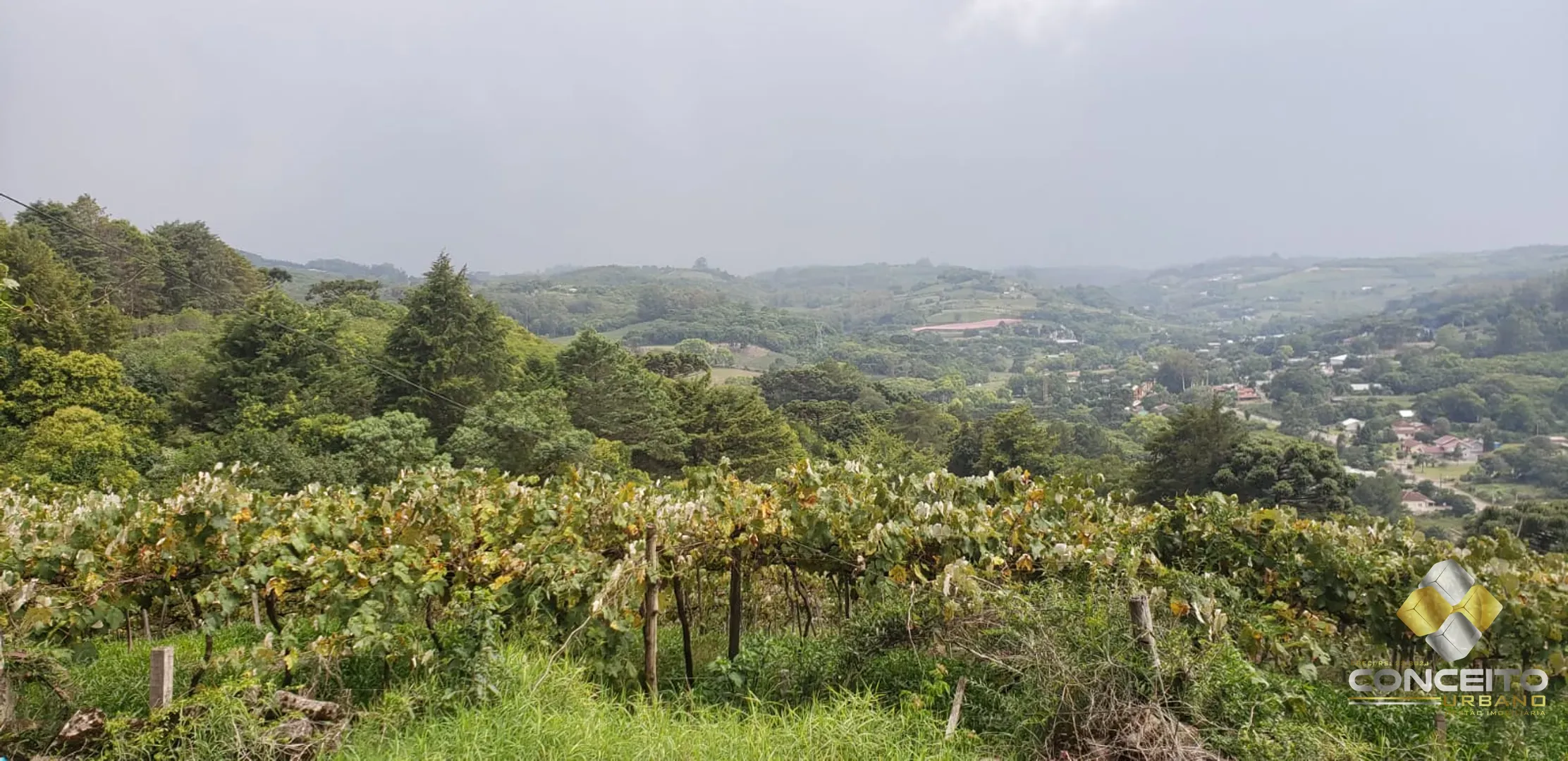 Área de terras para atividade comercial
