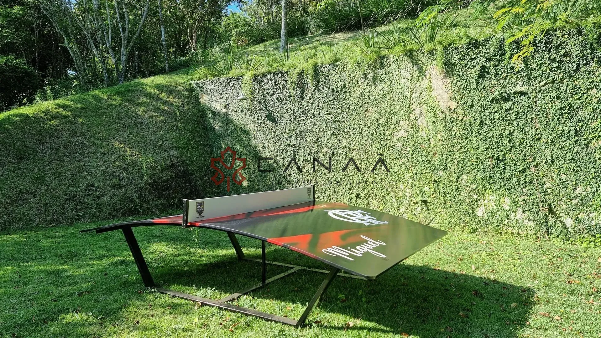 img15673793