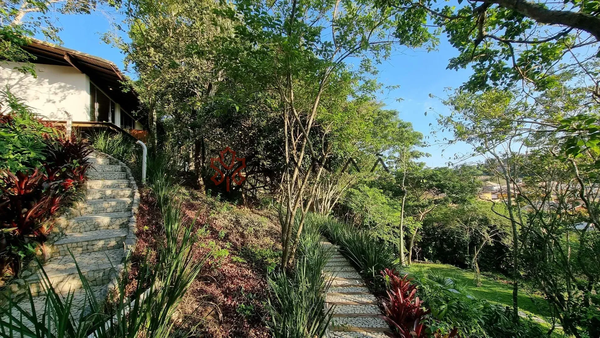 img15674121