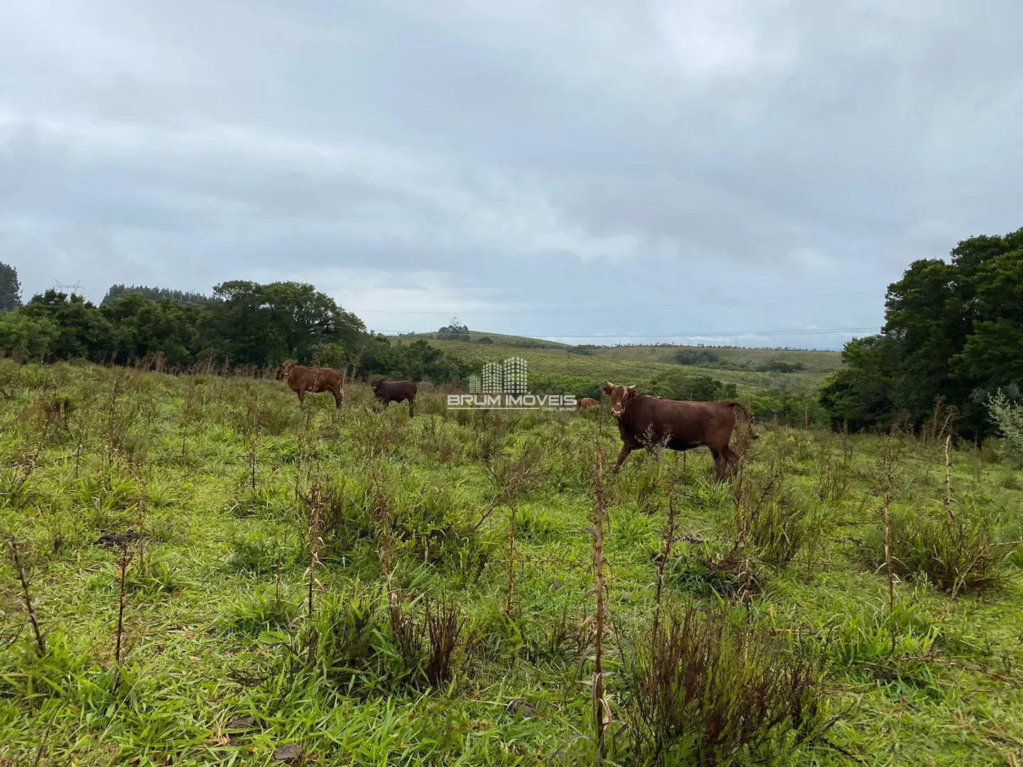 Fazenda - Zona rural, Fazenda Santaninha