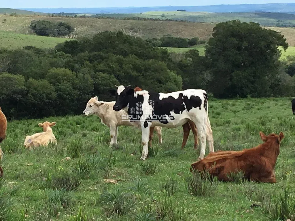 Fazenda - Zona rural, Fazenda Santaninha