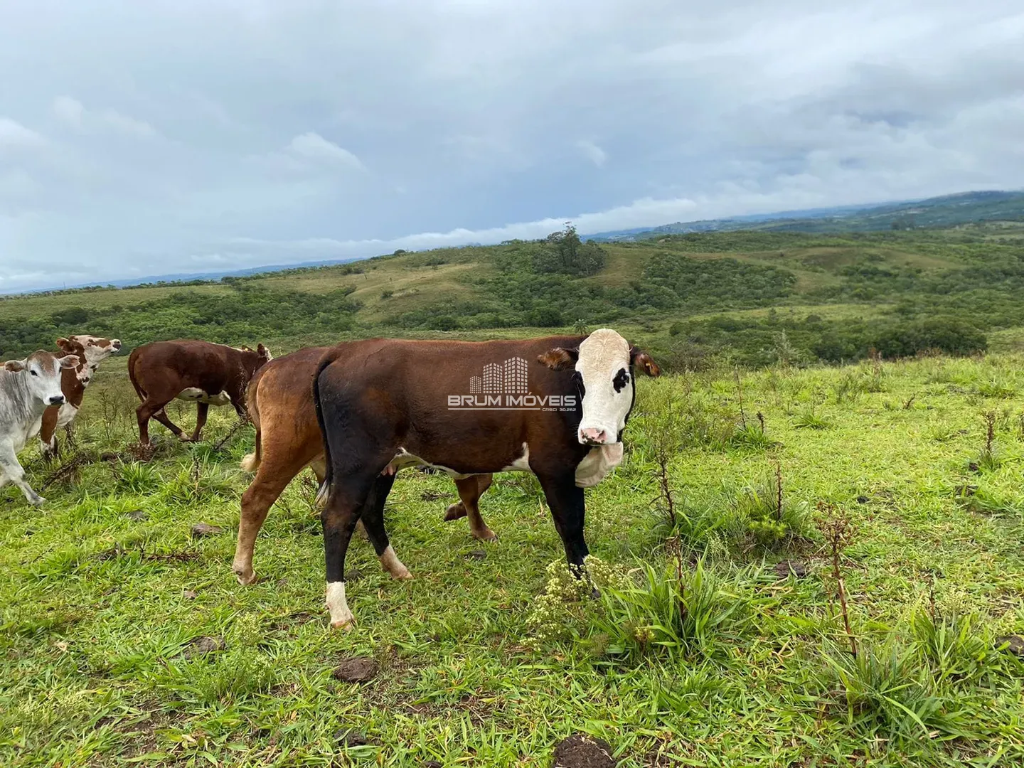 Fazenda - Zona rural, Fazenda Santaninha