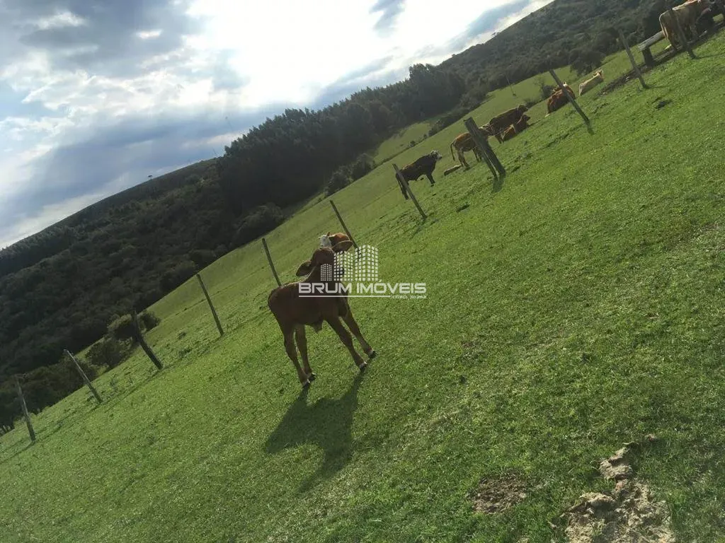 Fazenda - Zona rural, Fazenda Santaninha