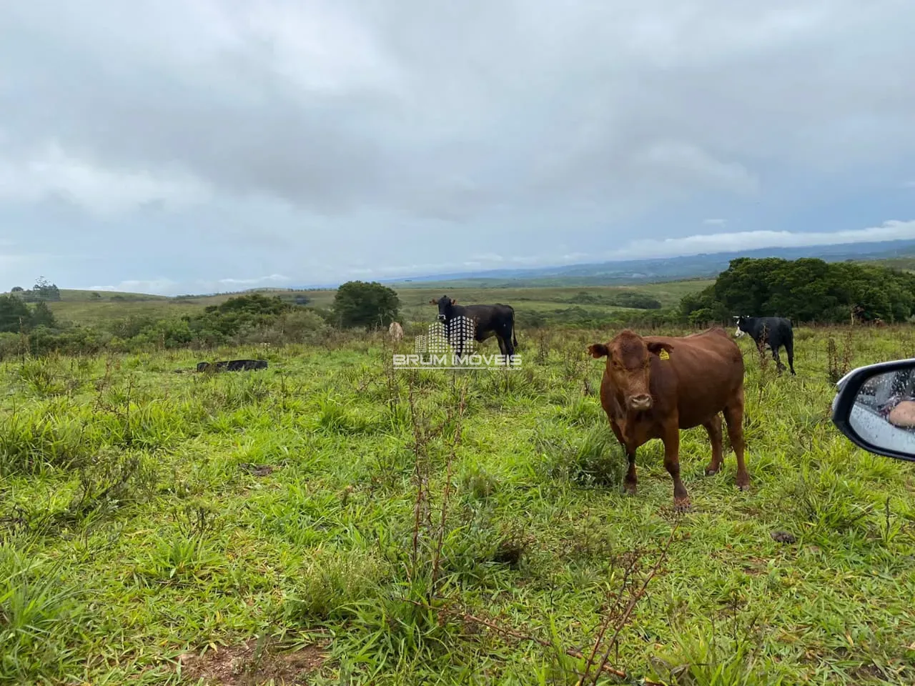 Fazenda - Zona rural, Fazenda Santaninha