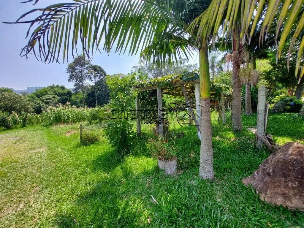 ABAIXO DO PREÇO! Terreno à venda, bairro São Pedro, São José dos