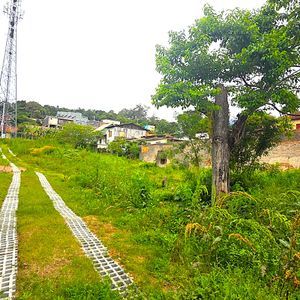 Excelente terreno com 2.158 m² de área, 30,0 metros de frente, situado em uma das regiões mais valorizadas do bairro Tristeza, na parte alta da Rua Padre João Batista Reus.