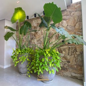 Apartamento com 72m², 2 dormitórios, 1 suíte, 1 vaga no Freedom em Torres para Comprar