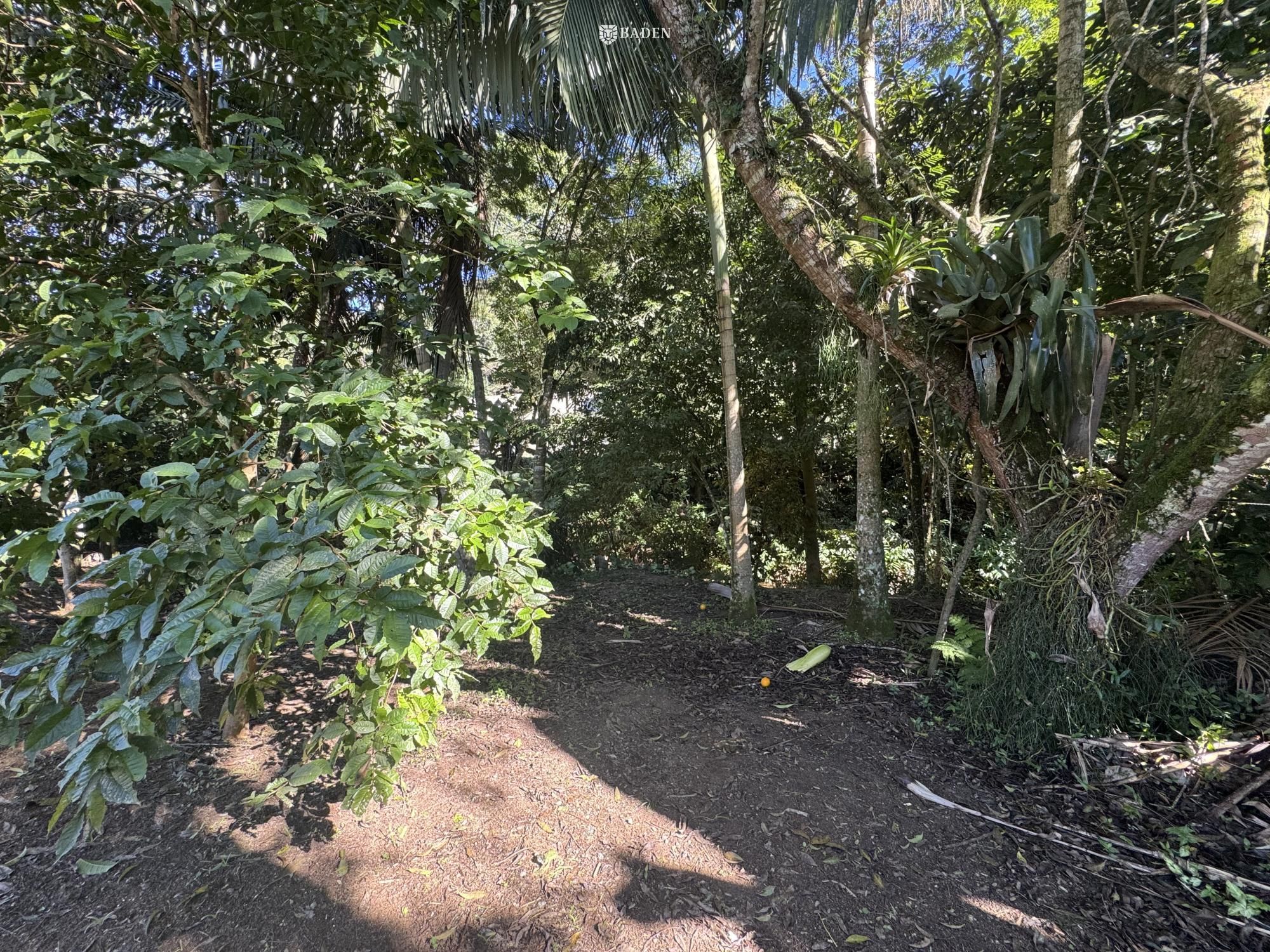 Chácara, 2 quartos, 2500 m² - Foto 31