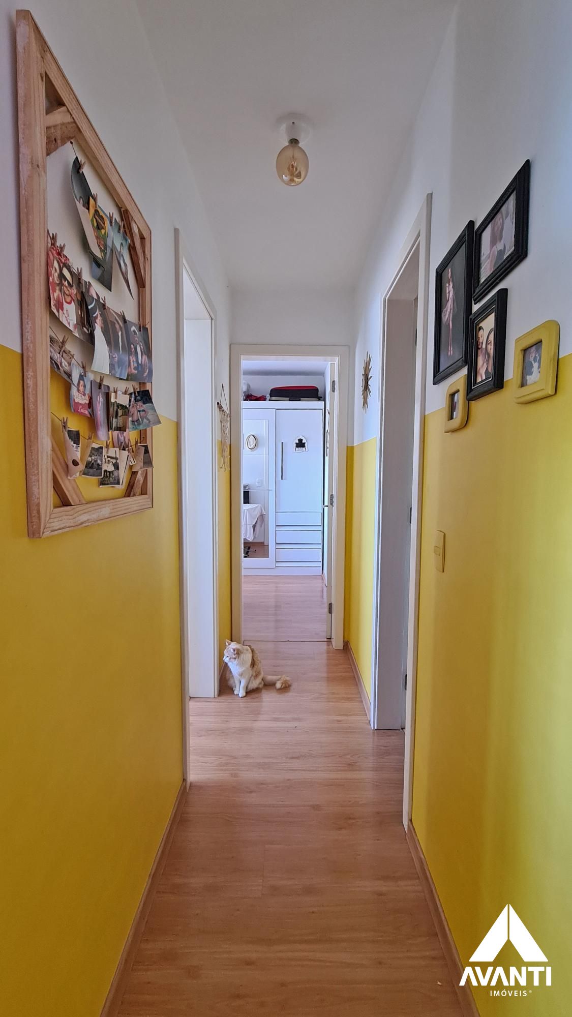 galeriaSobre