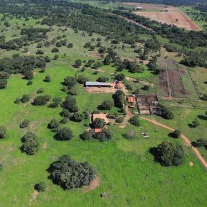 Excelente Fazenda para Pecuária em Goiás