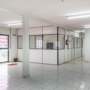 miniatura 12