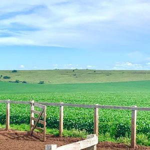 Fazenda com 400 hectares soja e pecuária entre Alegrete e Rosário