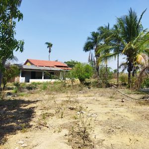 Fazenda extra de 44 alqueires a venda em Pugmil-TO