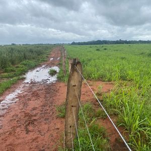 Fazenda com lavoura a 15 anos em Palmeirante-To