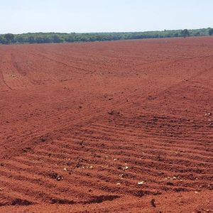 Fazenda agrícola em Goiás