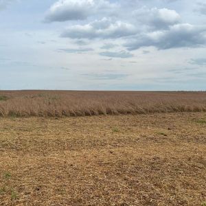 Fazenda à venda no Pará