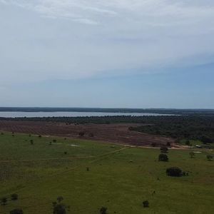 Fazenda de 344 alqueires as margens do Rio Formoso