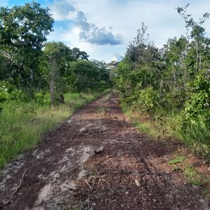 Fazenda à venda em Paranã-TO