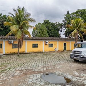miniatura 10
