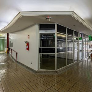 miniatura 19