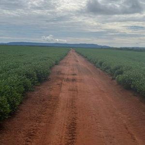 Fazenda com 2 mil hectares em lavoura à venda no Tocantins