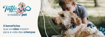 3 benefícios que os cães trazem para a vida das crianças