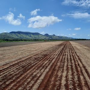 Fazenda em lavoura no Tocantins