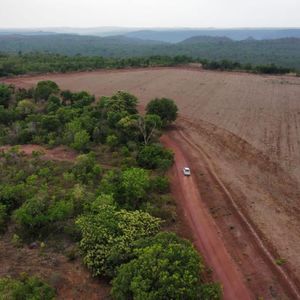 Fazenda de dupla aptidão à venda em  Darcinópolis-To