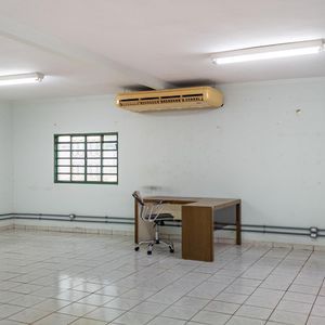 miniatura 11