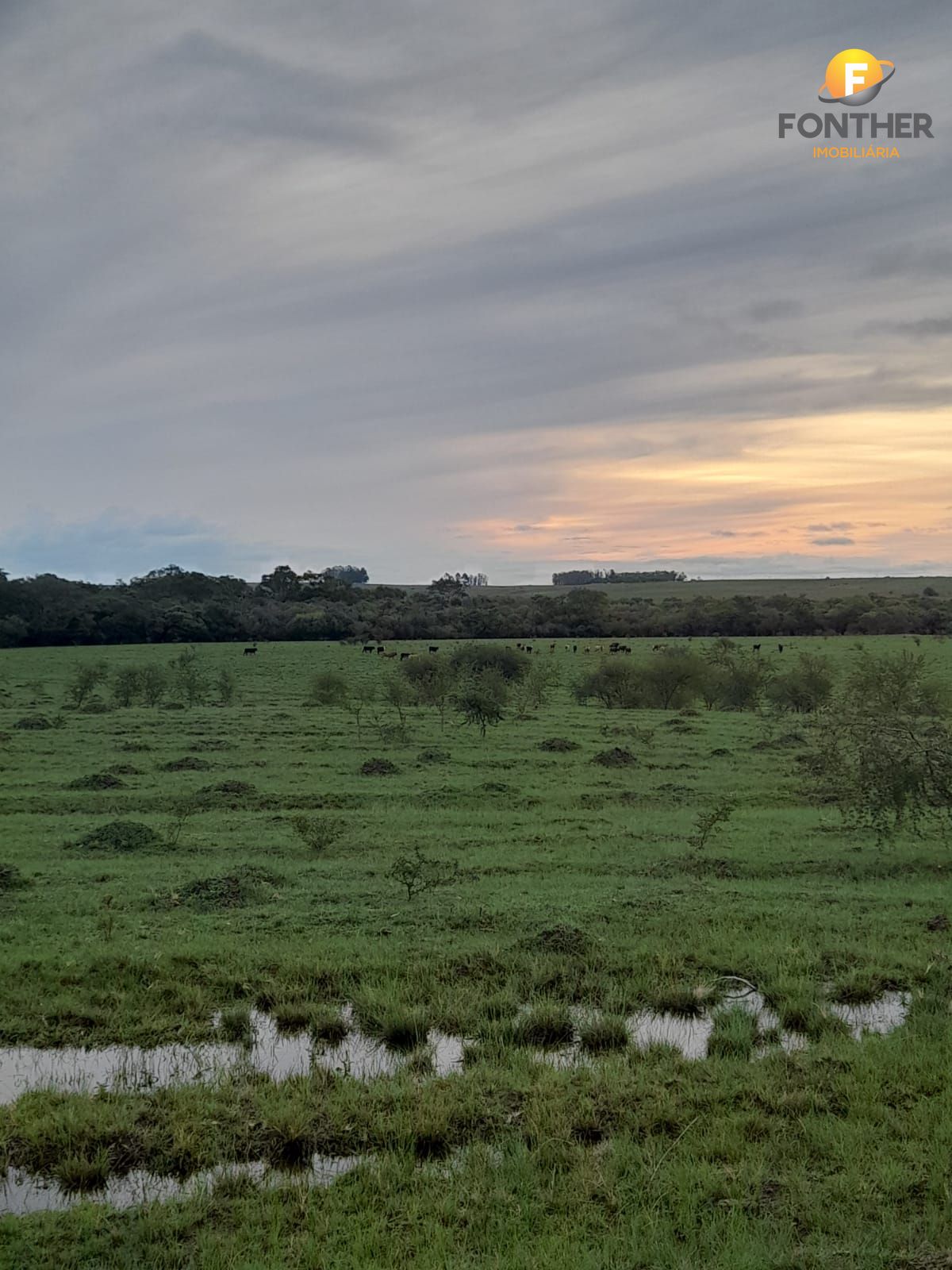 Loteamento e Condomínio à venda, 1100000000m² - Foto 12