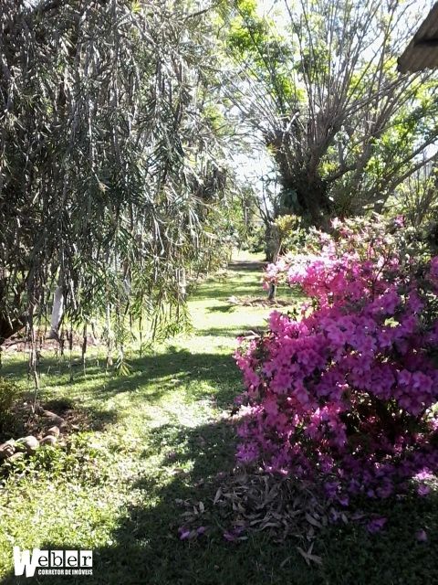 Fazenda à venda com 3 quartos, 20000m² - Foto 5