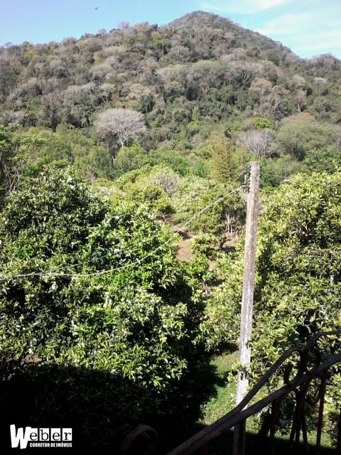 Fazenda à venda com 3 quartos, 20000m² - Foto 20