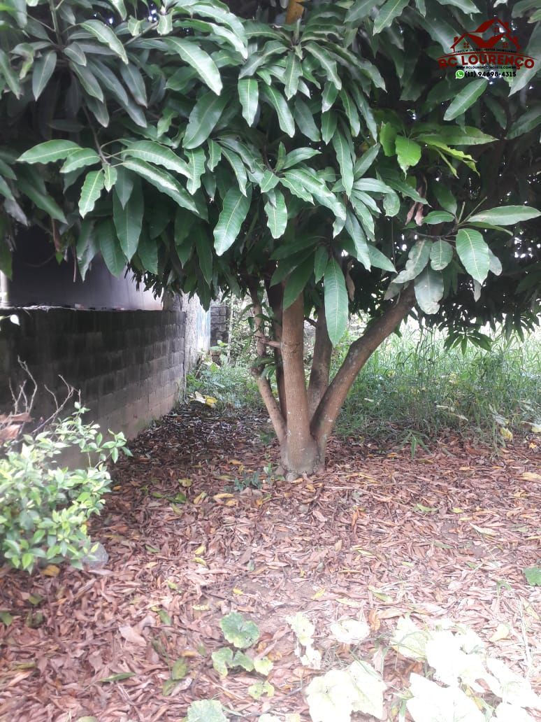 Terreno, 300 m² - Foto 16