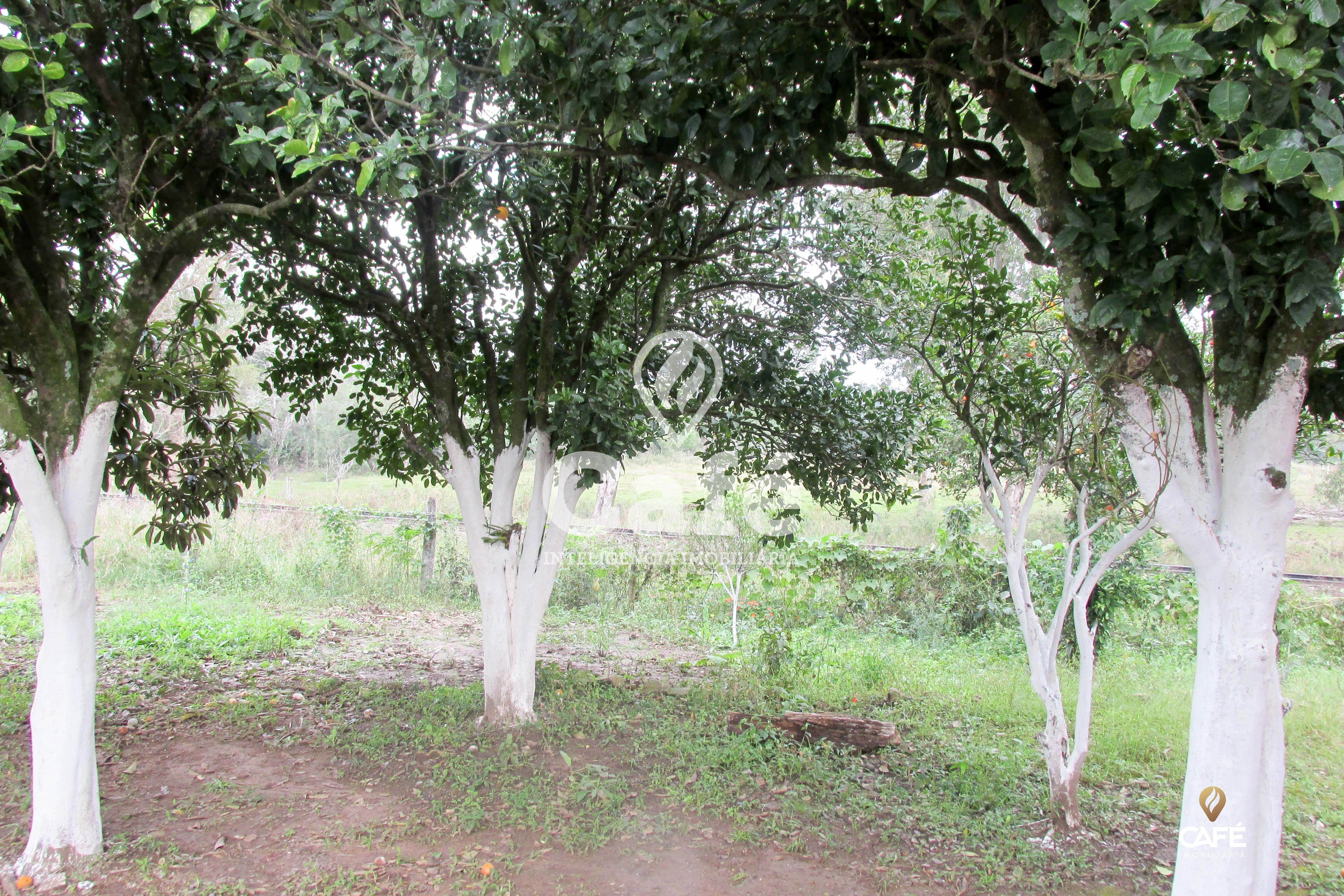 Casa, 2 quartos, 70 m² - Foto 23