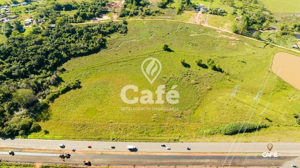 Terreno, 8 hectares - Foto 3