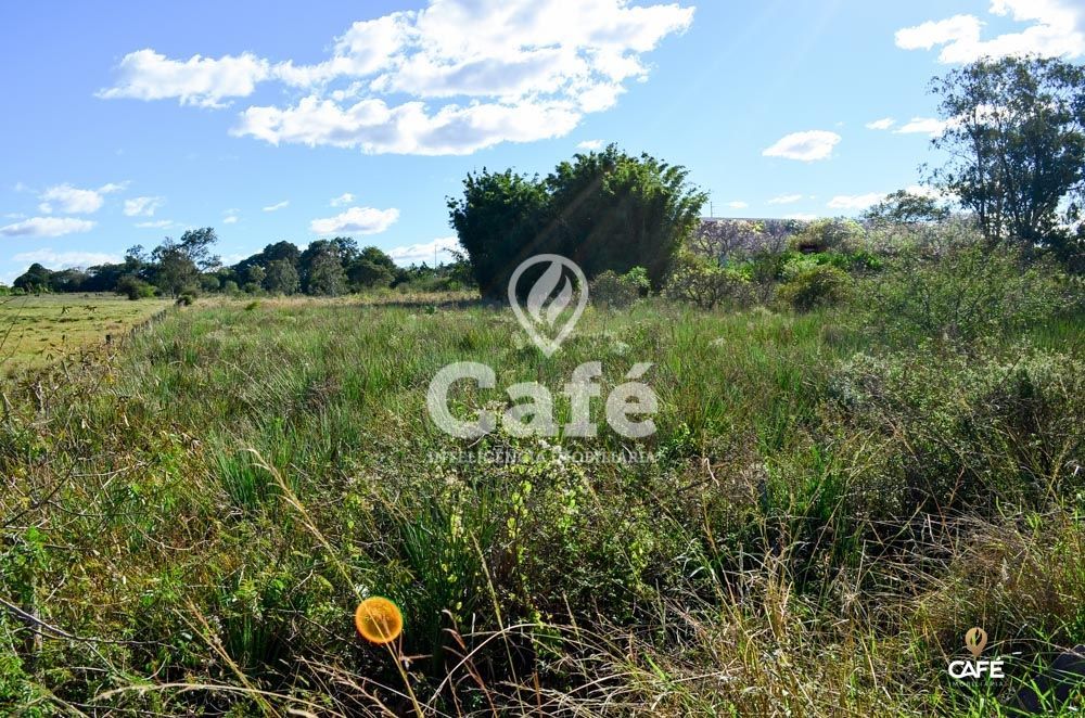 Terreno, 3 hectares - Foto 1