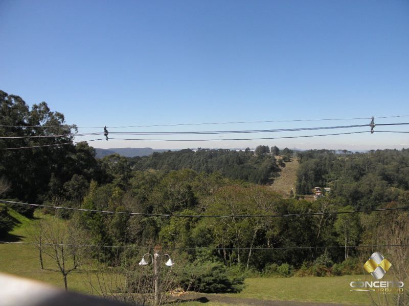 img3650716