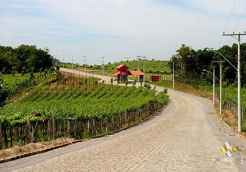 Terreno/Lote  venda  no Vale dos Vinhedos - Bento Gonalves, RS. Imveis