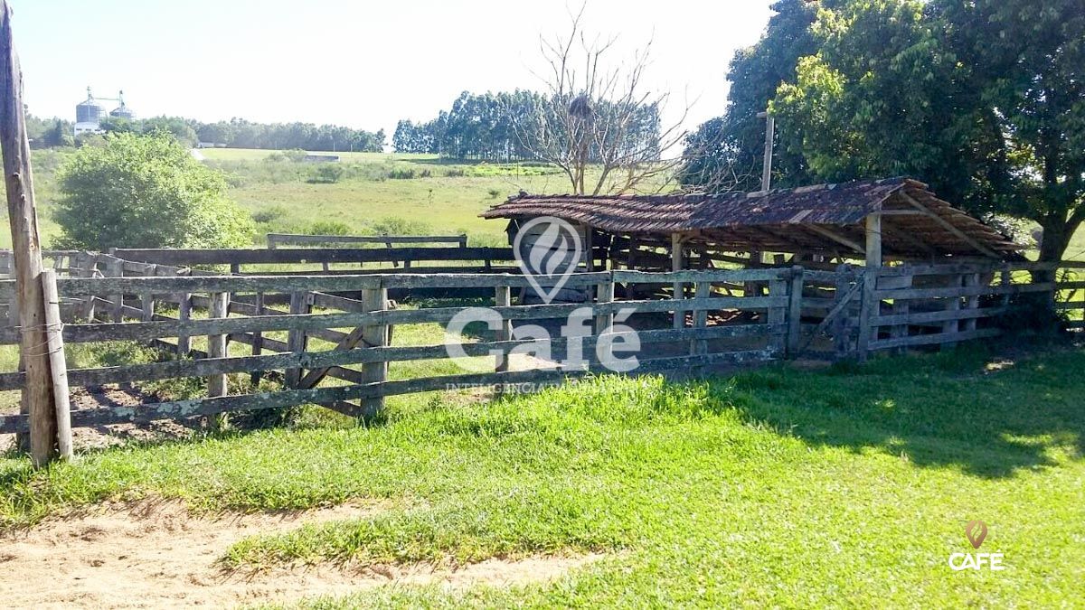 Chácara à venda com 2 quartos, 230000000m² - Foto 3