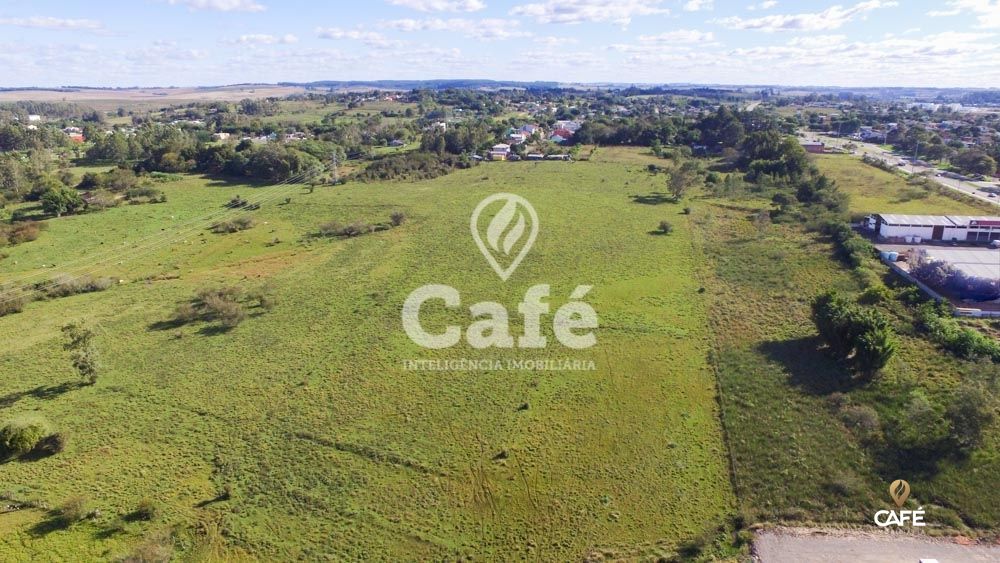 Terreno, 3 hectares - Foto 5