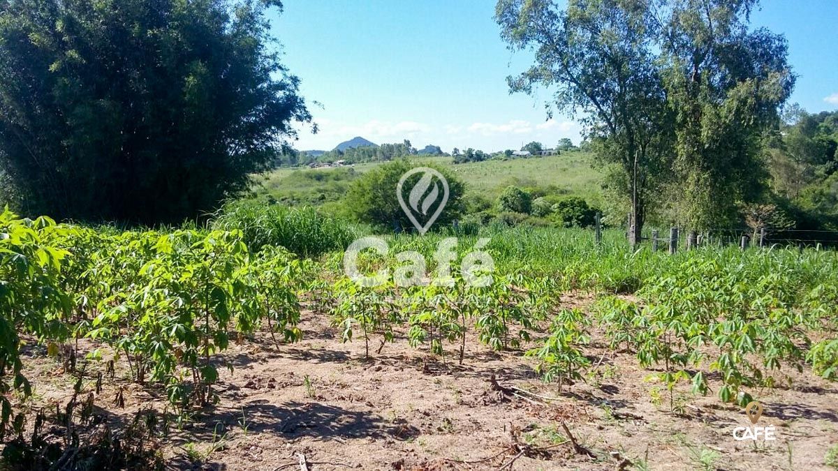 Chácara à venda com 2 quartos, 230000000m² - Foto 4