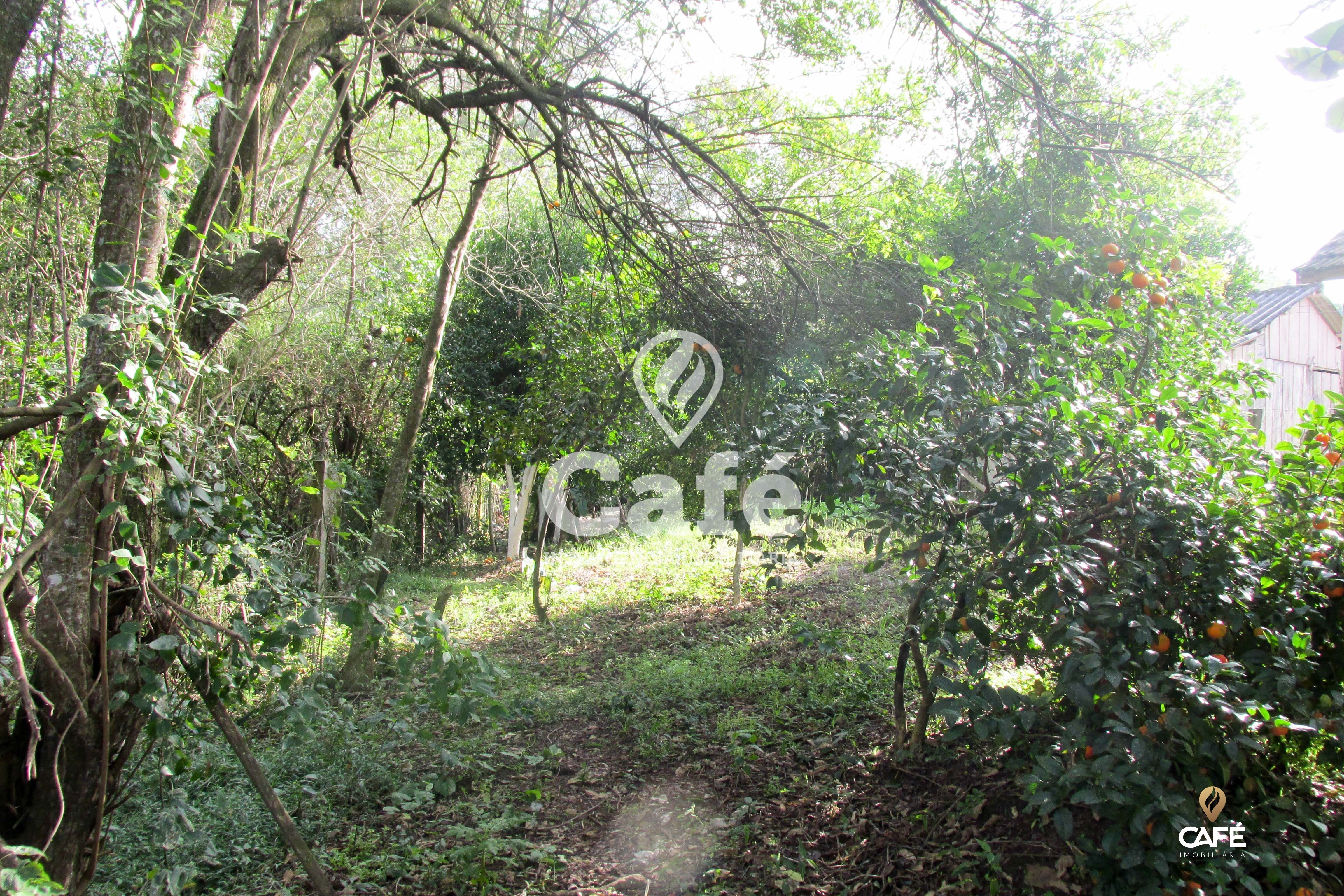 Casa, 2 quartos, 70 m² - Foto 14